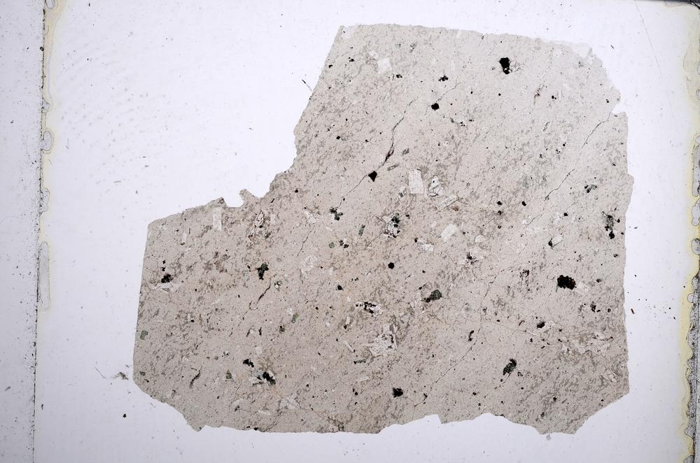 Plane Polarized, E62019/A