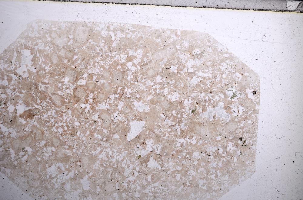 Plane Polarized, E62125