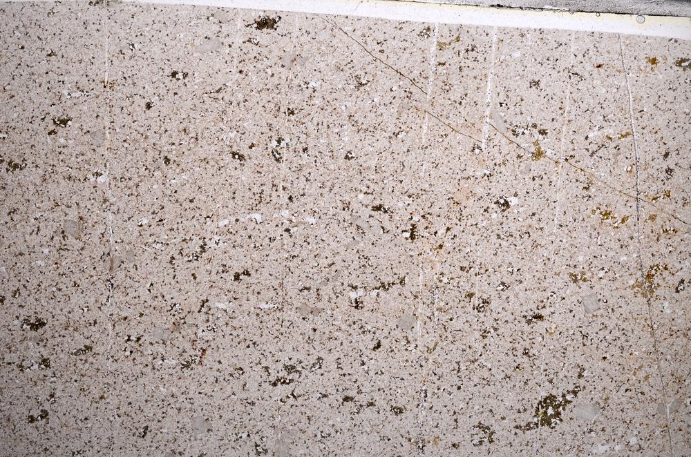 Plane Polarized, E62128