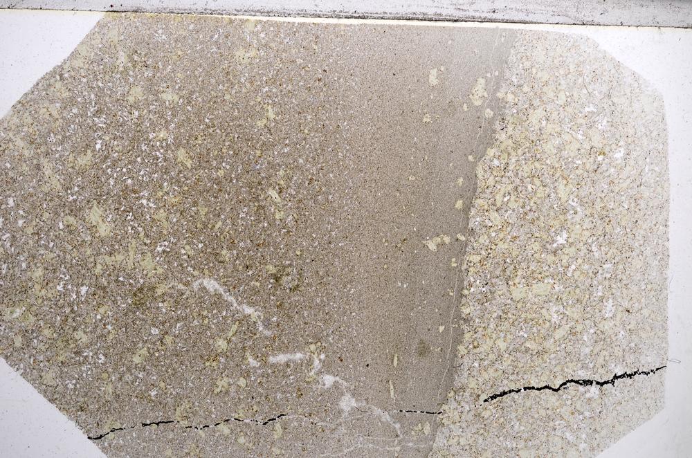 Plane Polarized, E62130