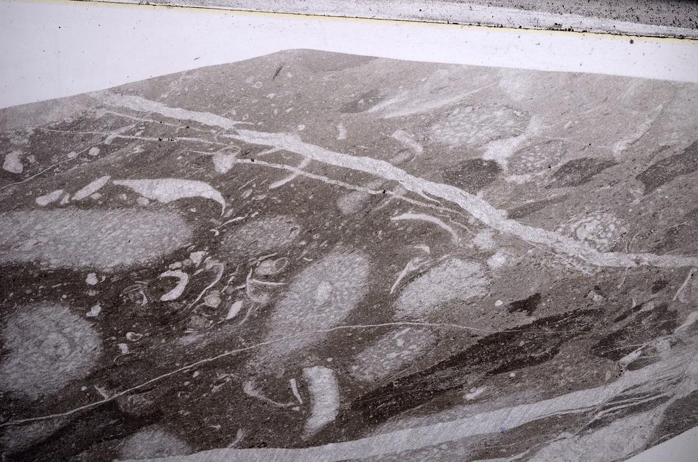 Plane Polarized, E62408