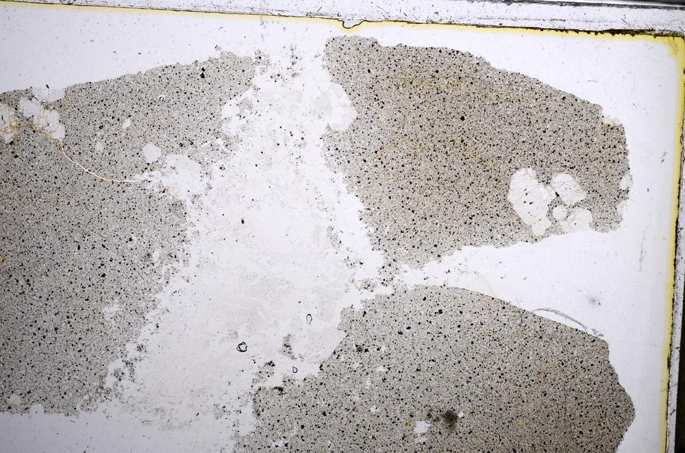 Plane Polarized, E62747/B