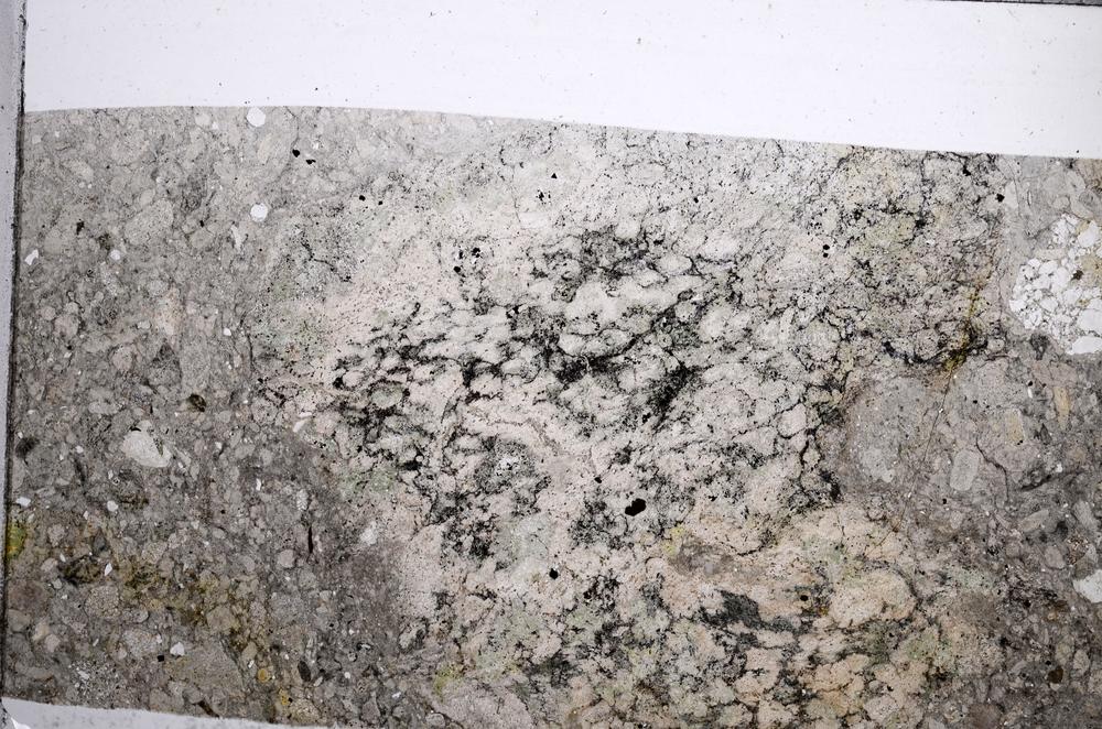 Plane Polarized, E62969