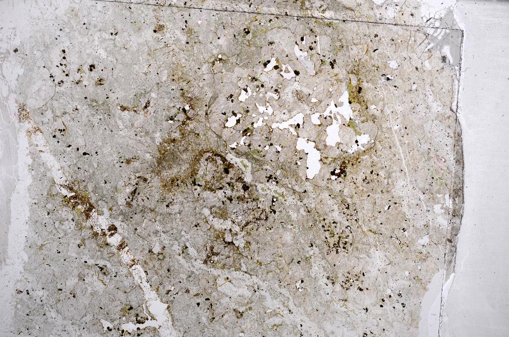 Plane Polarized, E63012