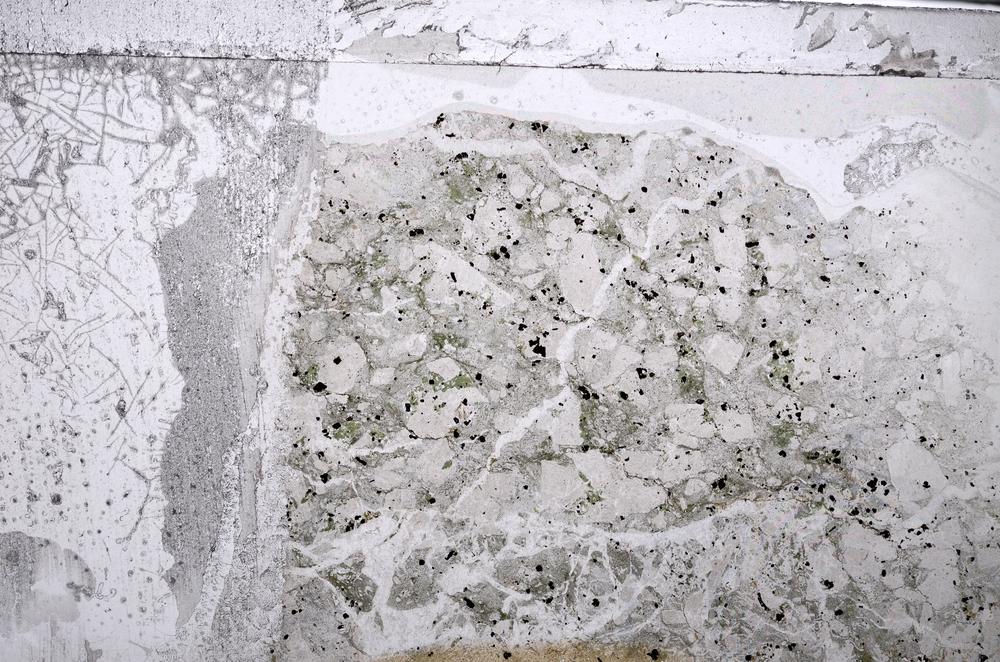 Plane Polarized, E64375/A