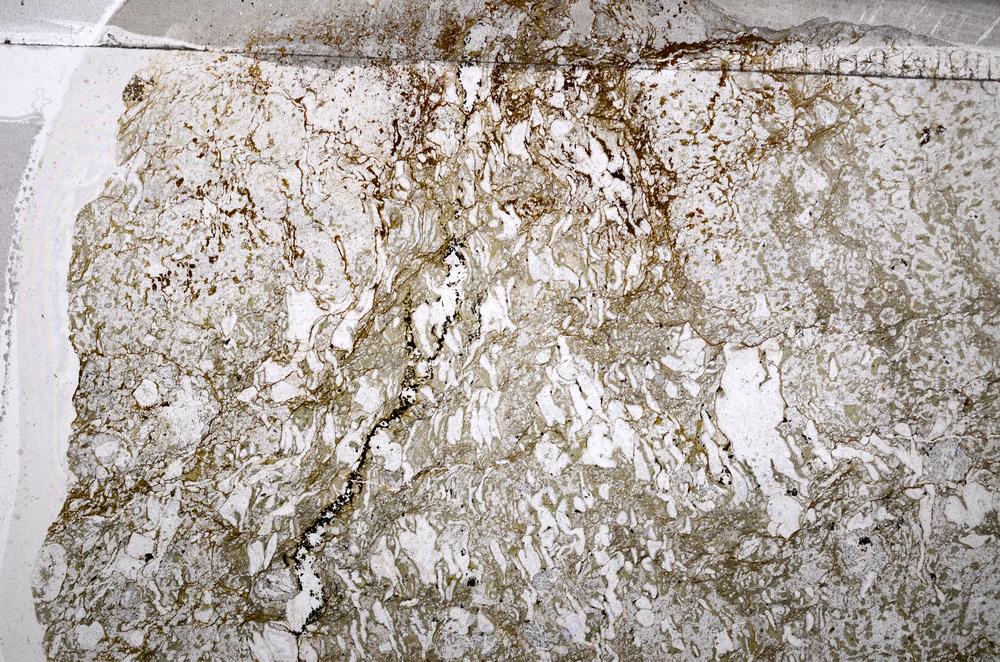 Plane Polarized, E64375/B