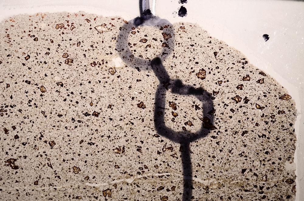 Plane Polarized, E65002