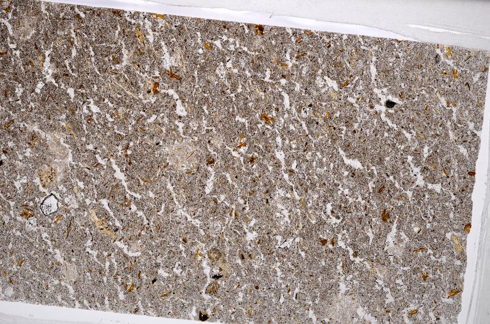 Plane Polarized, E65008