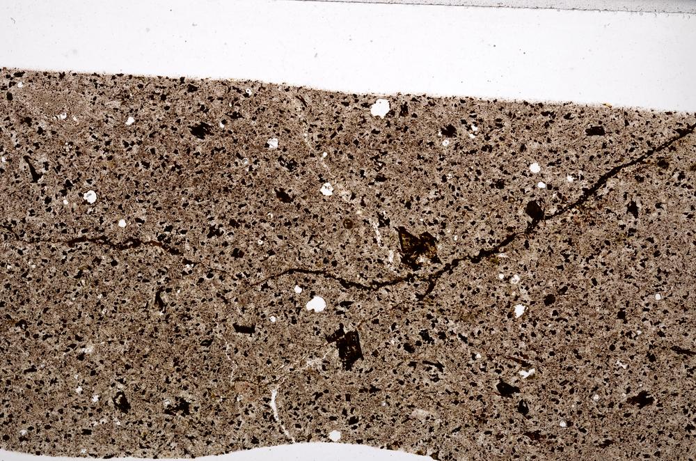 Plane Polarized, E65009