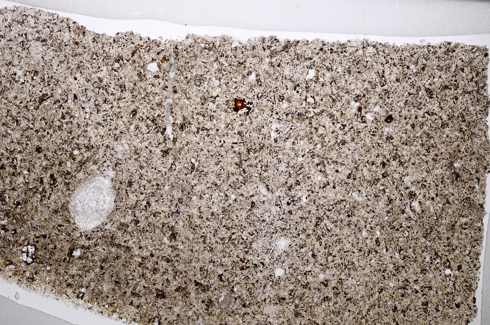 Plane Polarized, E65012