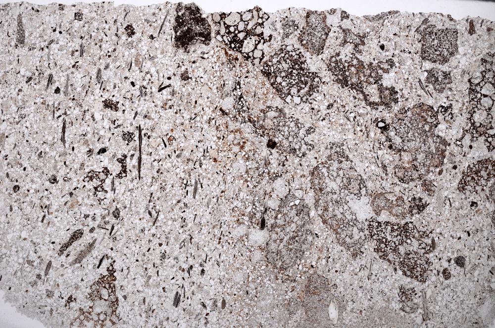 Plane Polarized, E65015