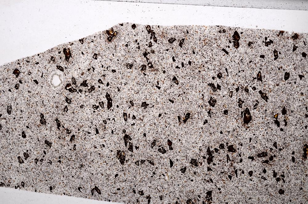 Plane Polarized, E65017