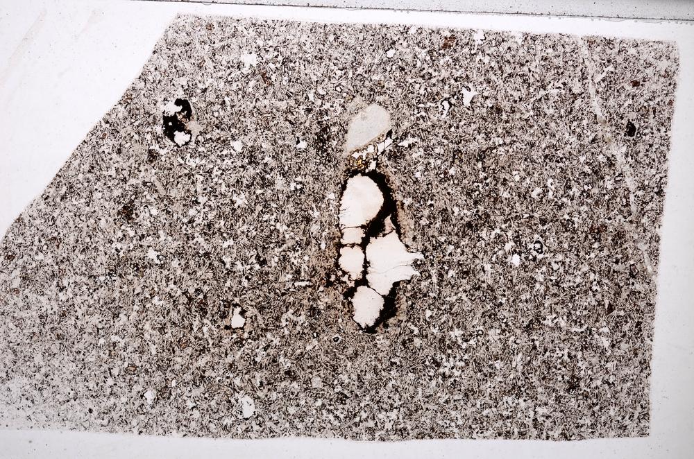 Plane Polarized, E65018