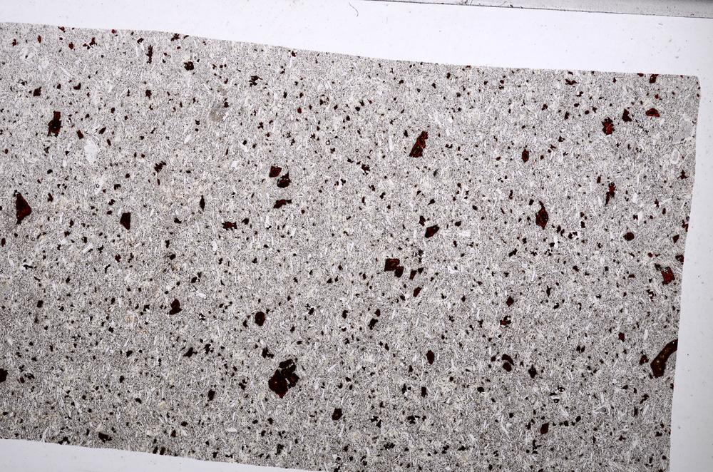 Plane Polarized, E65324