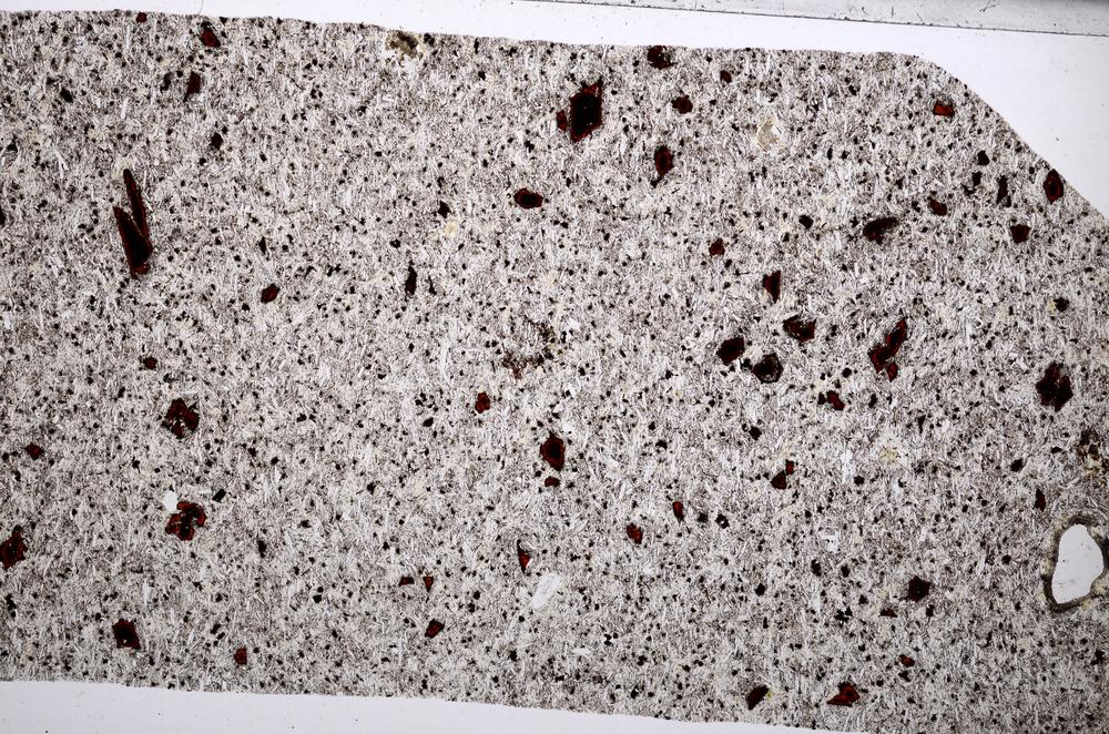 Plane Polarized, E65325