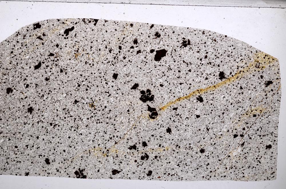 Plane Polarized, E65327