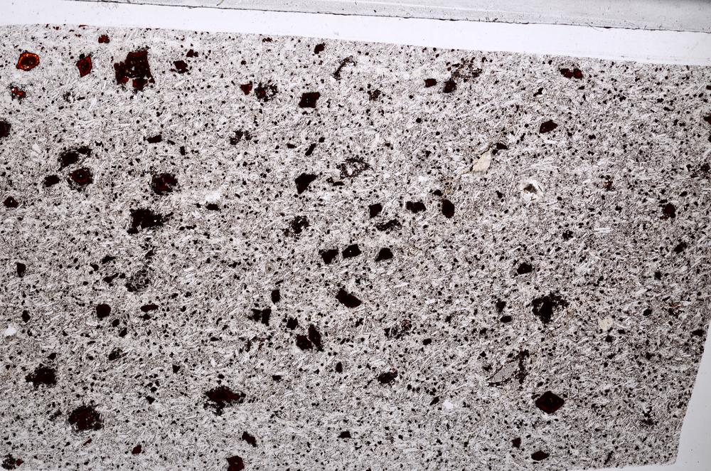 Plane Polarized, E65329