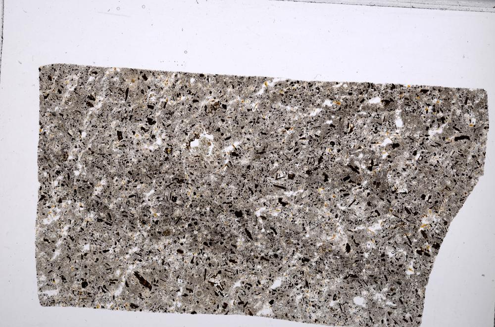 Plane Polarized, E65331