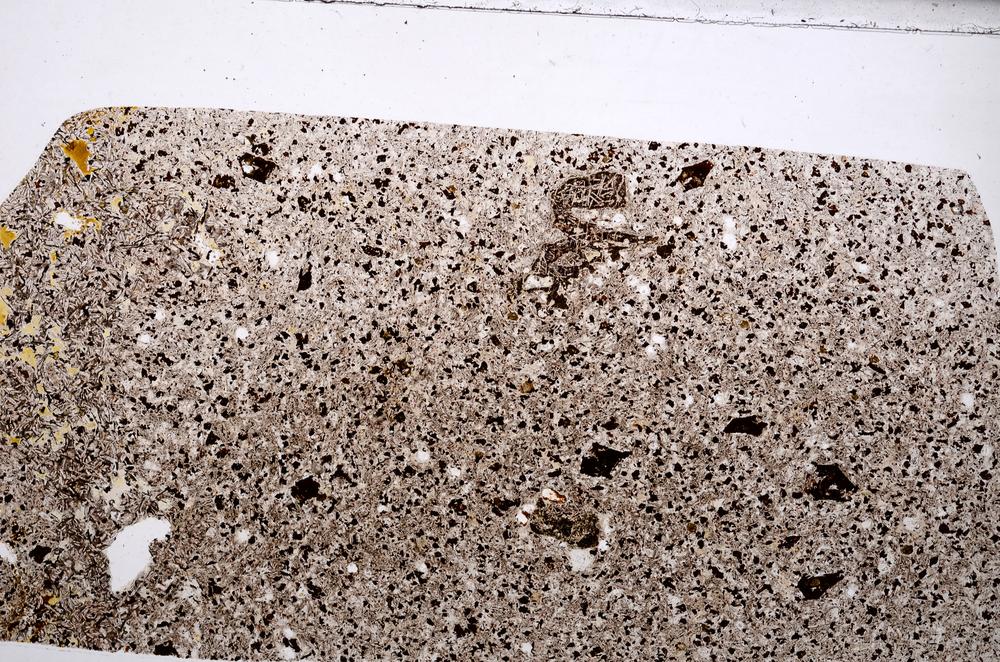 Plane Polarized, E65336