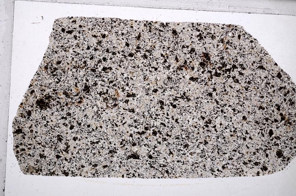 Plane Polarized, E65337