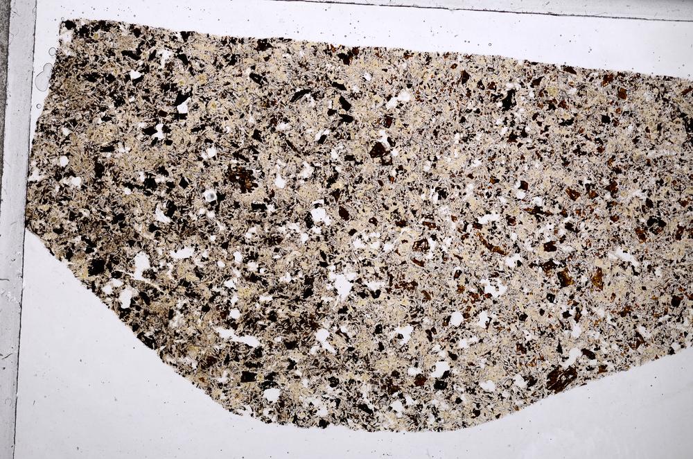 Plane Polarized, E65338