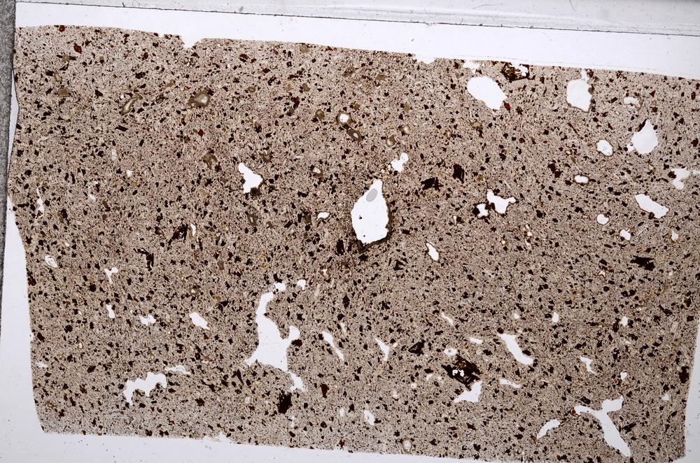 Plane Polarized, E65340