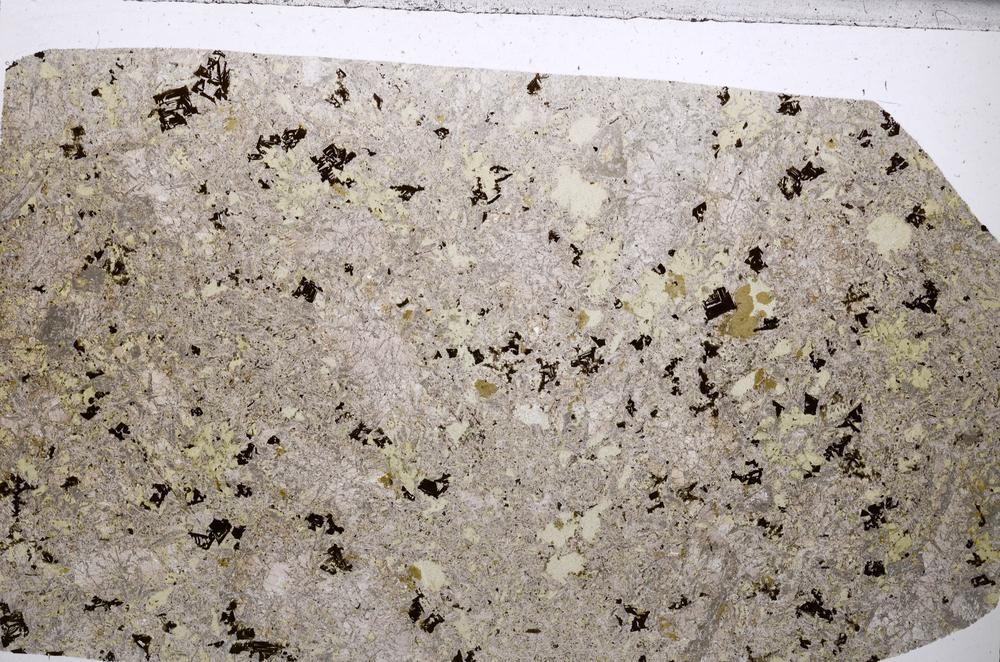 Plane Polarized, E65351