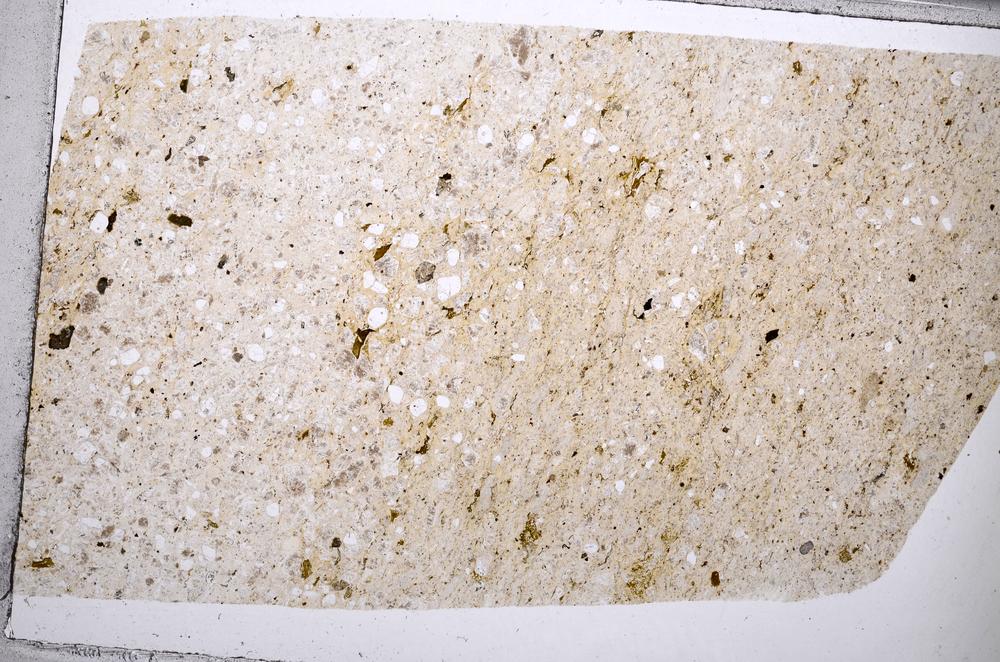 Plane Polarized, E65356