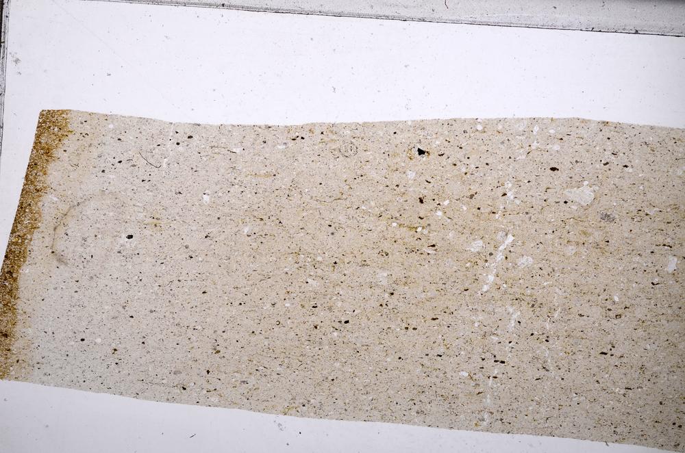 Plane Polarized, E65357