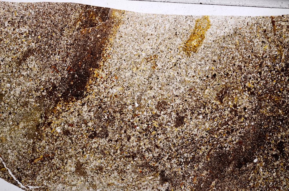 Plane Polarized, E65370