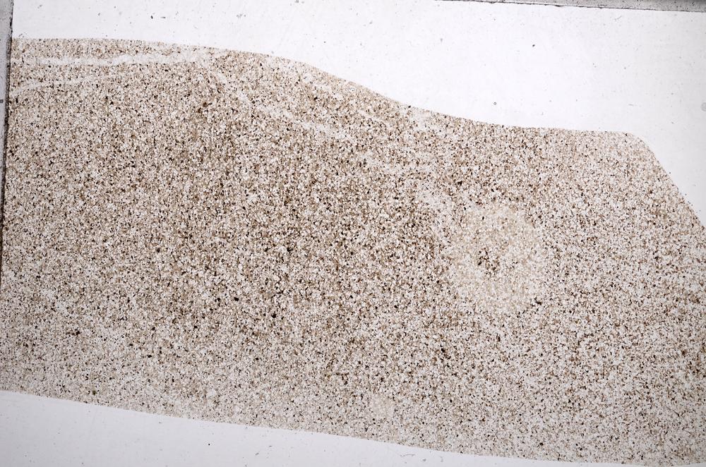 Plane Polarized, E65474