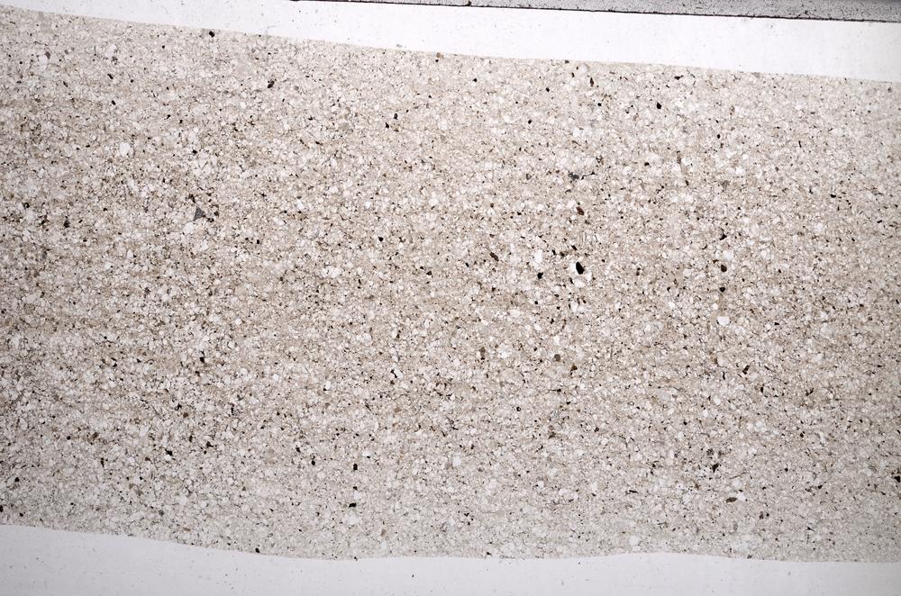 Plane Polarized, E65475