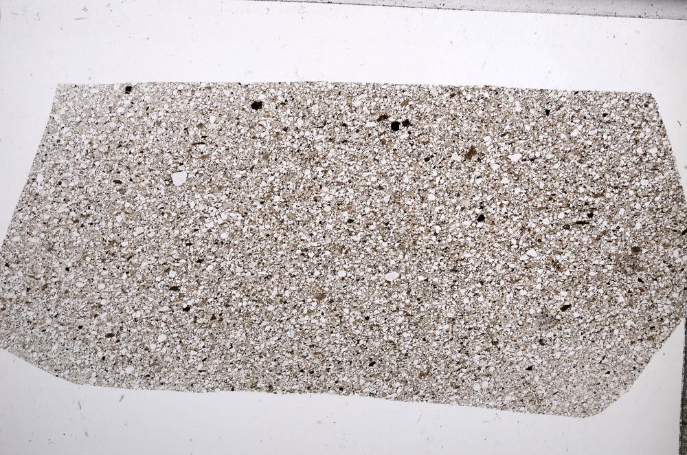 Plane Polarized, E65478