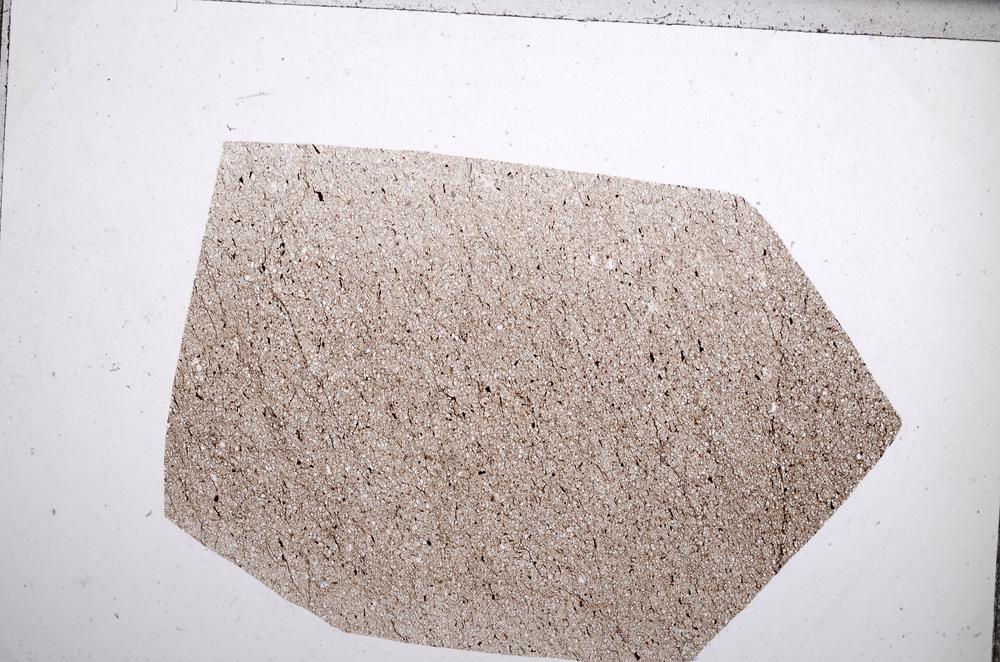 Plane Polarized, E65479