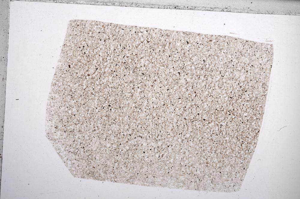 Plane Polarized, E65481