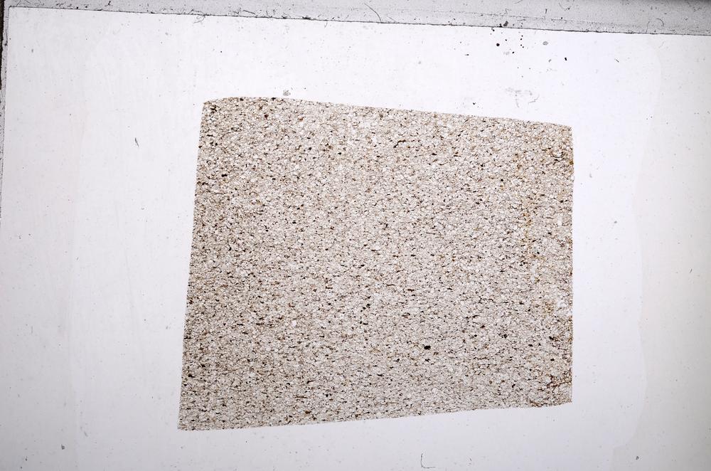 Plane Polarized, E65482