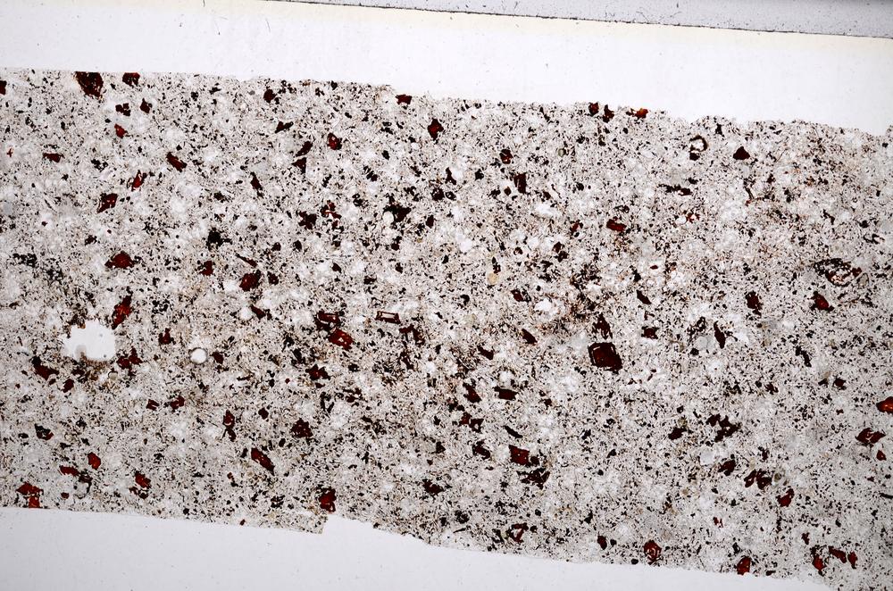 Plane Polarized, E65572