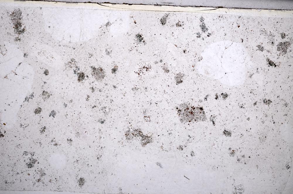 Plane Polarized, E65573