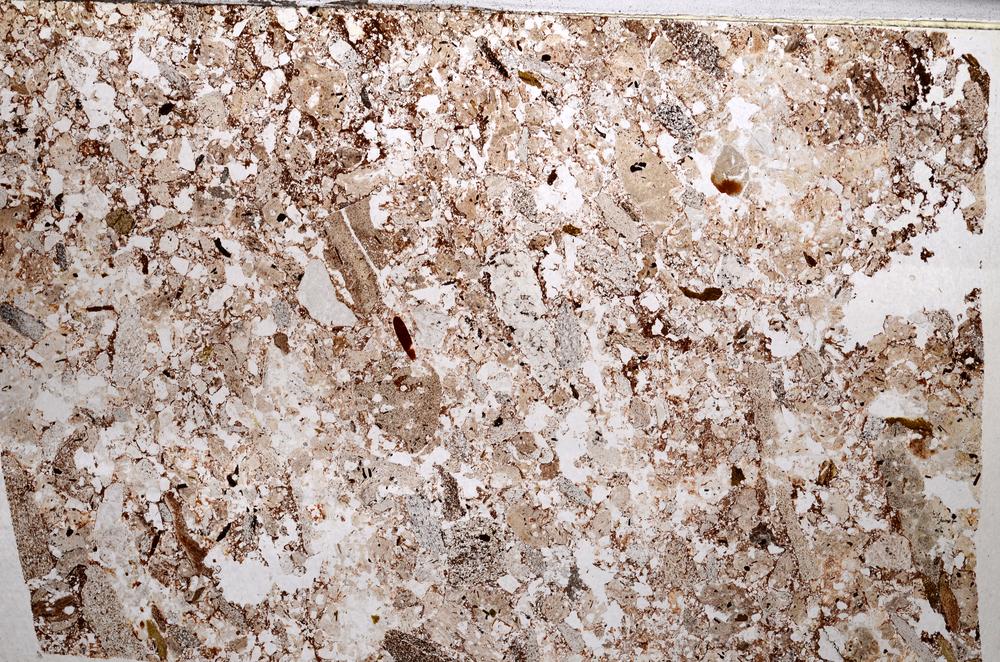 Plane Polarized, E65574