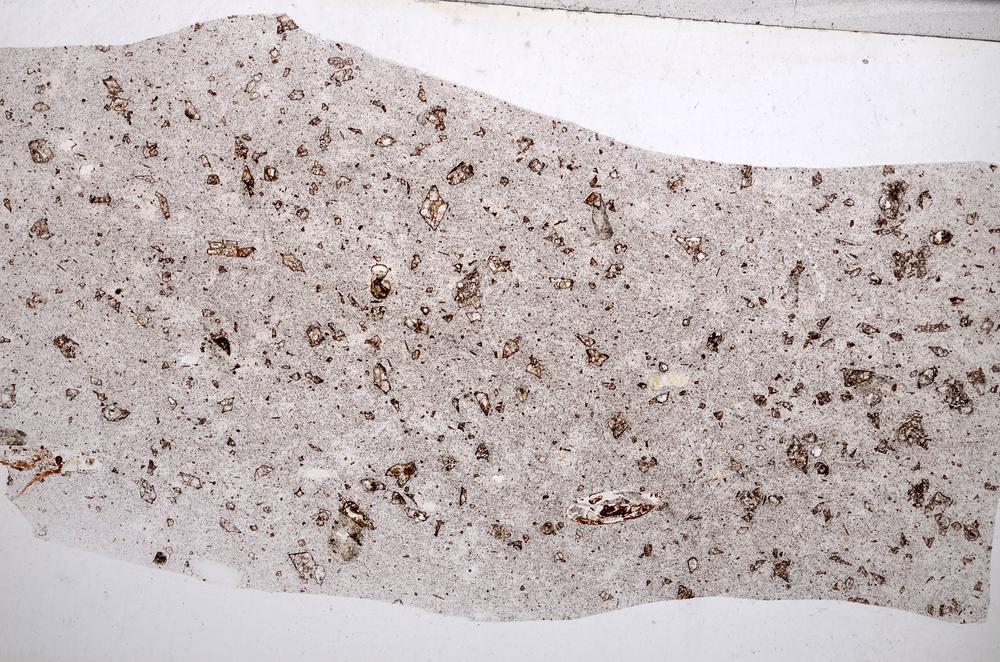 Plane Polarized, E65575