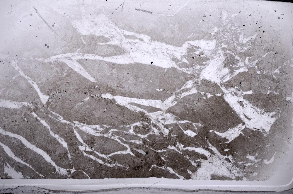 Plane Polarized, E65857