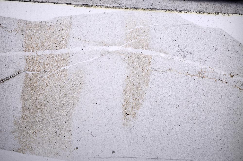 Plane Polarized, E67042