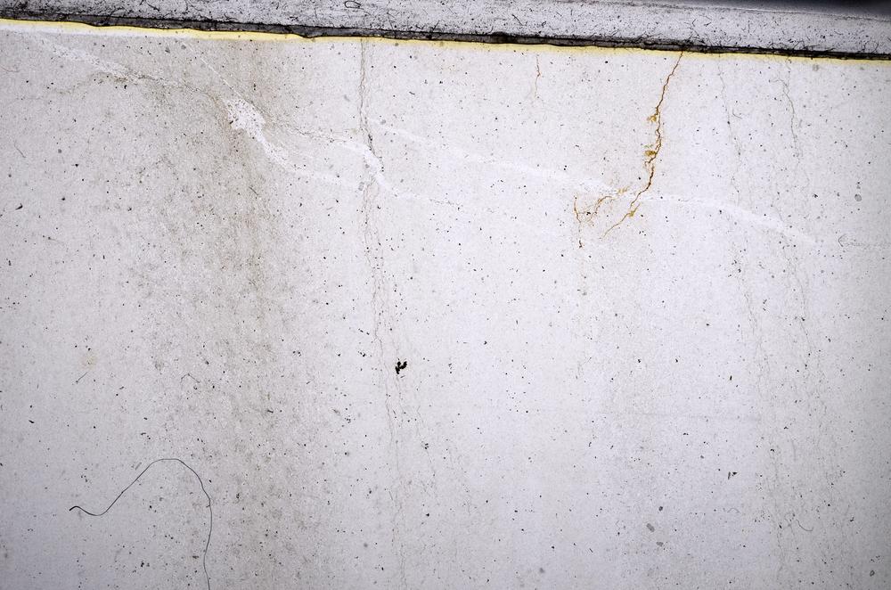 Plane Polarized, E67101