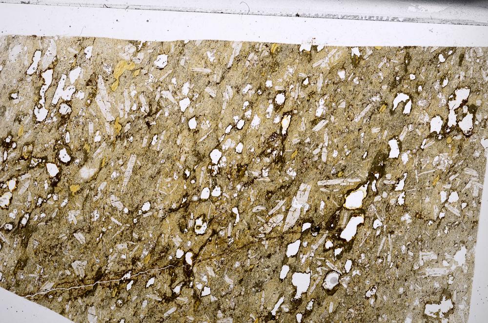 Plane Polarized, E67191