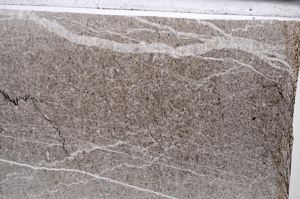 Plane Polarized, E67231