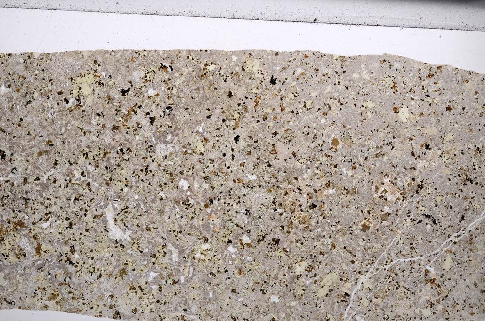 Plane Polarized, E67241