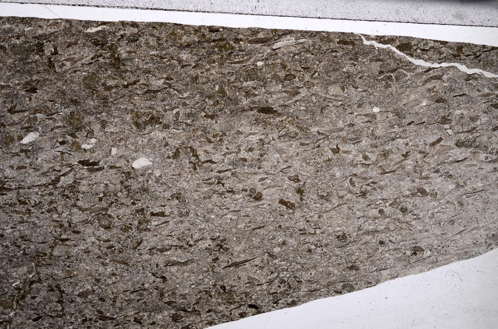 Plane Polarized, E67325