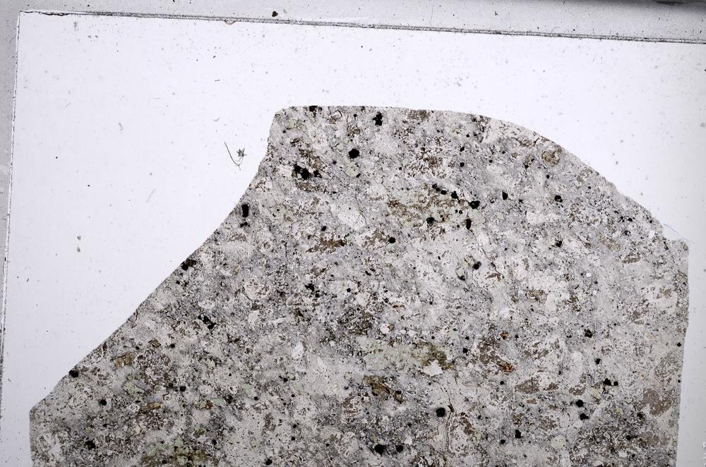 Plane Polarized, E67543