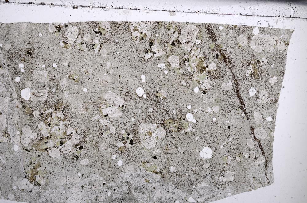 Plane Polarized, E67545