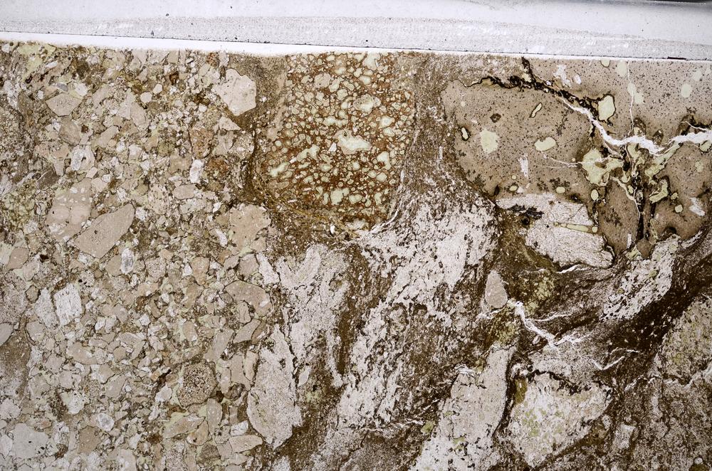 Plane Polarized, E67591